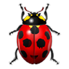 avatar_JonesQuincie